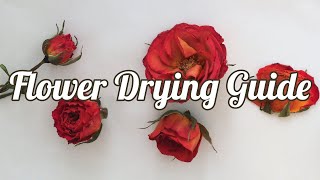 How to Dry Flowers 4 Methods [upl. by Leler110]