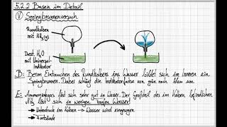 Basen im Detail  Der AmmoniakSpringbrunnenversuch [upl. by Gildus]