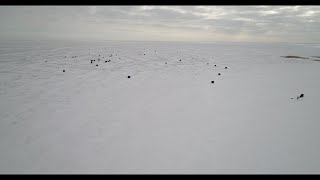 Ice Fishing at Pinconning Park [upl. by Vonnie]