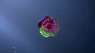 Flow Cytometry Animation [upl. by Llenrac]