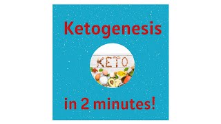 Ketogenesis and Ketones in 2 minutes [upl. by Sly]