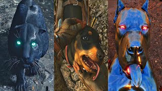 FAR CRY 6 All Pets Gameplay amp Petting Animations 4K 60FPS Amigos [upl. by Enohpesrep]