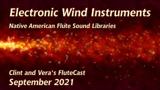 Electronic Wind Instruments  Native American Flute [upl. by Idihc]