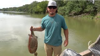 Soft Shell Turtle Catch Clean Cook [upl. by Lankton]