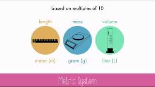 The Metric System [upl. by Erreipnaej]