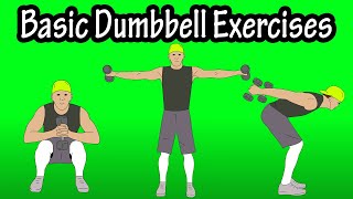 Basic Beginner Introductory Easy Dumbbell Workout Exercises For Beginners At Home At The Gym [upl. by Baker]