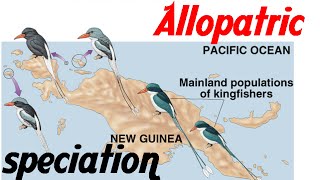 Allopatric speciation animation [upl. by Northington]