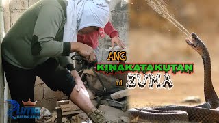 Zuma napasigaw sa TAKOT  ang kinatatakutan ni zuma [upl. by Kay601]