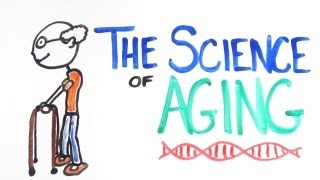 The Science of Aging [upl. by Thane]