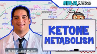 Metabolism  Ketone Metabolism [upl. by Ackerman]