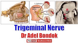 Facial Pain Treatment Treatment Options for Trigeminal Neuralgia [upl. by Etnauq]