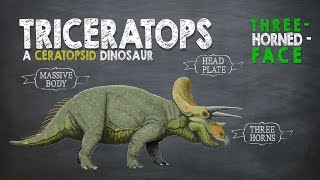 Triceratops Facts A Dinosaur Facts video about Triceratops the ThreeHornedFace dinosaur [upl. by Ynaffyt]