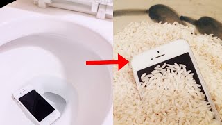 How to Fix Phone Dropped in Water Fixed [upl. by Lugo]