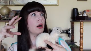 Ask a Mortician Human Taxidermy [upl. by Anile]