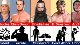 How WWE Wrestlers Died [upl. by Zorana]