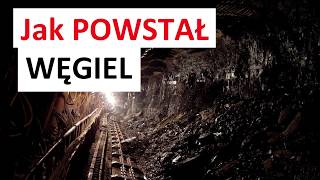 Jak POWSTAŁ WĘGIEL [upl. by Glassman]