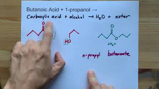 Butanoic Acid  Propanol  ESTER  water [upl. by Aiciram212]