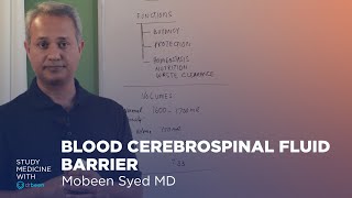 Blood Cerebrospinal Fluid Barrier [upl. by Humfrey615]