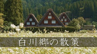 【日本三大秘境】白川郷の散策  Walking Around Shirakawago（Gifu Japan） [upl. by Buttaro]