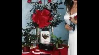 grupo bryndis poemas rosas tristes mixmp4 [upl. by Gnuoy]