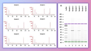 Forensic DNA Profiling Part I [upl. by Hollie]