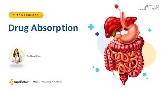 Drug Absorption  Pharmacokinetics for Medical Student Pharmacology Study [upl. by Lustick641]