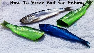 How To Brine Bait [upl. by Oal]