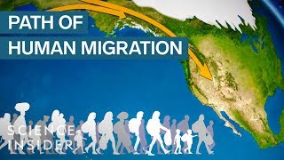 Map Shows How Humans Migrated Across The Globe [upl. by Arezzini]