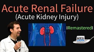 Acute Kidney Injury  Acute Renal Failure Explained Clearly  Remastered [upl. by Feenah]