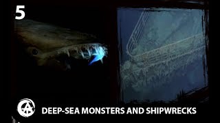 5 Videos That WILL Trigger Thalassophobia [upl. by Onaled]