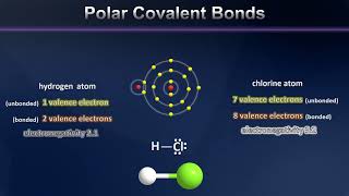 A Brief Introduction to Polar Covalent Bonding [upl. by Huebner942]