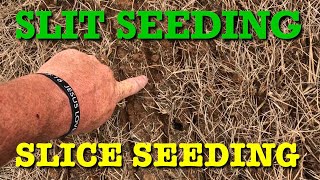 SLIT SEEDING and SLICE SEEDING A YARD [upl. by Atekal656]