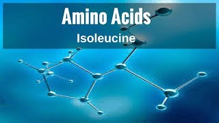 Amino Acids  Isoleucine [upl. by Aiksa628]