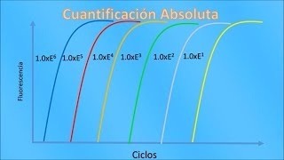 PCR en tiempo real qPCR Conceptos Básicos [upl. by Penelopa]