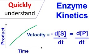 Enzyme kinetics [upl. by Naillimixam]