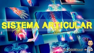 Sistema Articular  Introdução classificação e função [upl. by Nwad401]