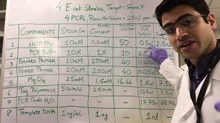 How To PCR Calculations [upl. by Stricklan236]