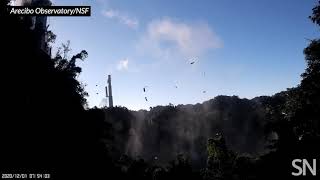 Watch the Arecibo telescope collapse  Science News [upl. by Loredana]