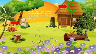 K Science How do plants and animals change their environment [upl. by Reedy973]