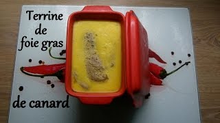 Recette  Terrine de foie gras de canard [upl. by Ninnahc]