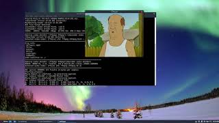 How To Play Video From The Terminal In Linux With Mplayer [upl. by Tenrag]