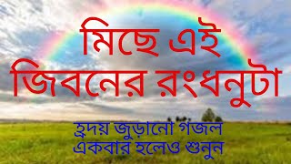 Miche Ei Jiboner Rong Dhonuta  Bangla New Gojol  Bangla Gojol  ALOR DISARI TV [upl. by Jarib]