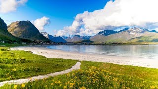 Uplifting Music  light positive happy music Gullrosøya  1 hour [upl. by Beichner]