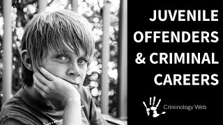 Juvenile Delinquency Two Types of Criminal Careers [upl. by Rodmann137]