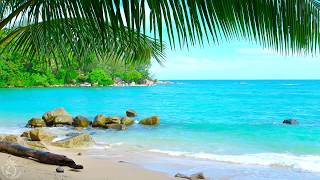 🌴 Tropical Beach Ambience on a Island in Thailand with Ocean Sounds For Relaxation amp Holiday Feeling [upl. by Nedyah]