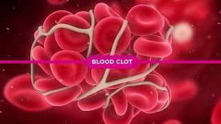 Coagulation Cascade Explained [upl. by Renita]