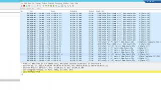 How to Troubleshoot NetFlow Using Wireshark [upl. by Aztinaj448]