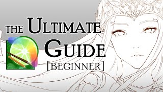 PAINT TOOL SAI  The Ultimate Beginners Guide [upl. by Carlye929]