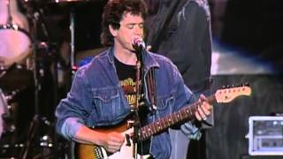 Lou Reed  Dirty Blvd Live at Farm Aid 1990 [upl. by Pacificas]