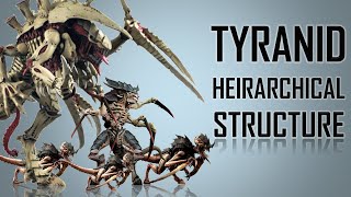 13 Ranks in a Tyranid Hierarchy Warhammer 40K [upl. by Aradnahc]